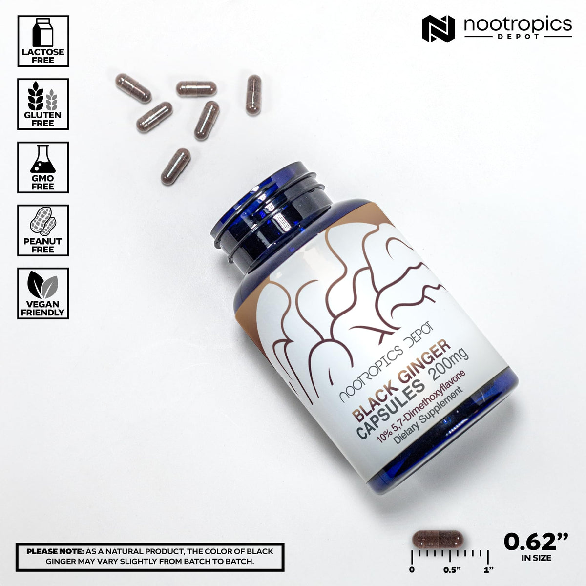 Back profile of Nootropics Depot Black Ginger Extract bottle highlighting standardizations and cGMP manufacturing certifications.