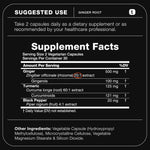 Premium 60 vegetarian ginger capsules bottle focusing on the standardized ultra high potency formulation.