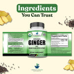 Premium dietary supplement for nausea relief and antioxidant defense showing capsule count