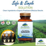 Pure Mountain Botanicals 1000 milligrams ginger root digestive support supplement packaging.
