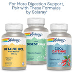Solaray Organic Ginger one hundred capsule bottle standing upright on a clean background.