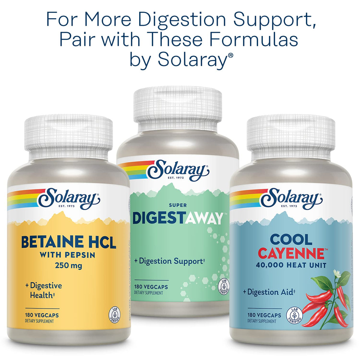 Solaray Organic Ginger one hundred capsule bottle standing upright on a clean background.