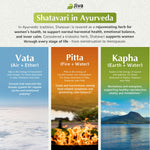 Authentic USA imported Jiva Botanicals Shatavari packaging