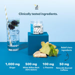 Cheers Relief premium imported recovery aid capsules for wellness support