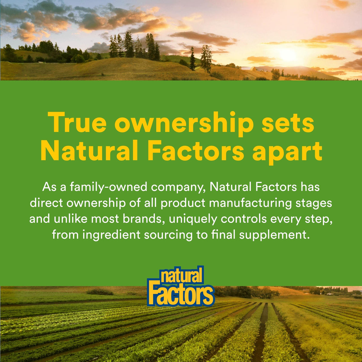 Natural Factors Chewable Ginger 90 count bottle with tamper evident safety seal packaging