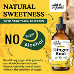 Premium imported USA ginger root liquid tincture for natural nausea relief