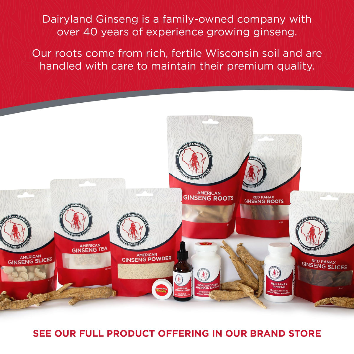 Dairyland Management ginseng powder for energy and focus