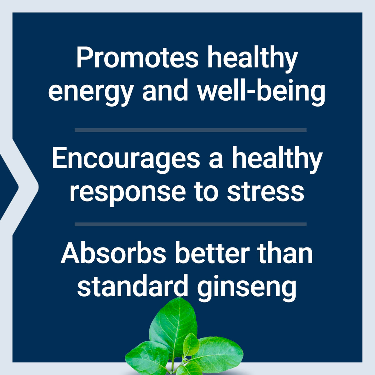 Life Extension Ginseng Energy Boost vegetarian capsules supplement facts