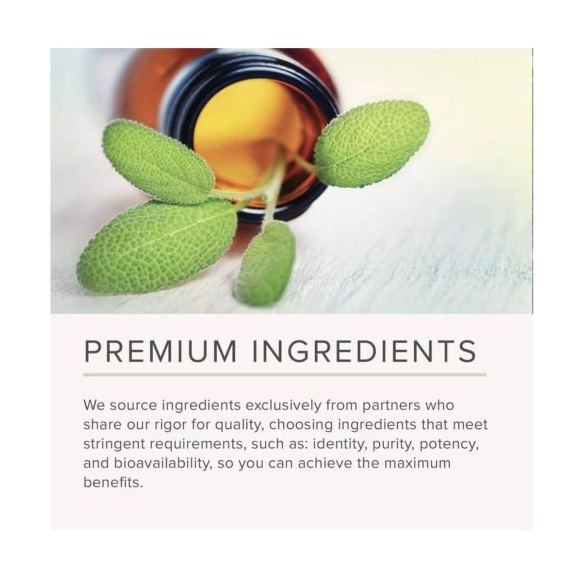 Back view of NusaPure supplement bottle with ingredients