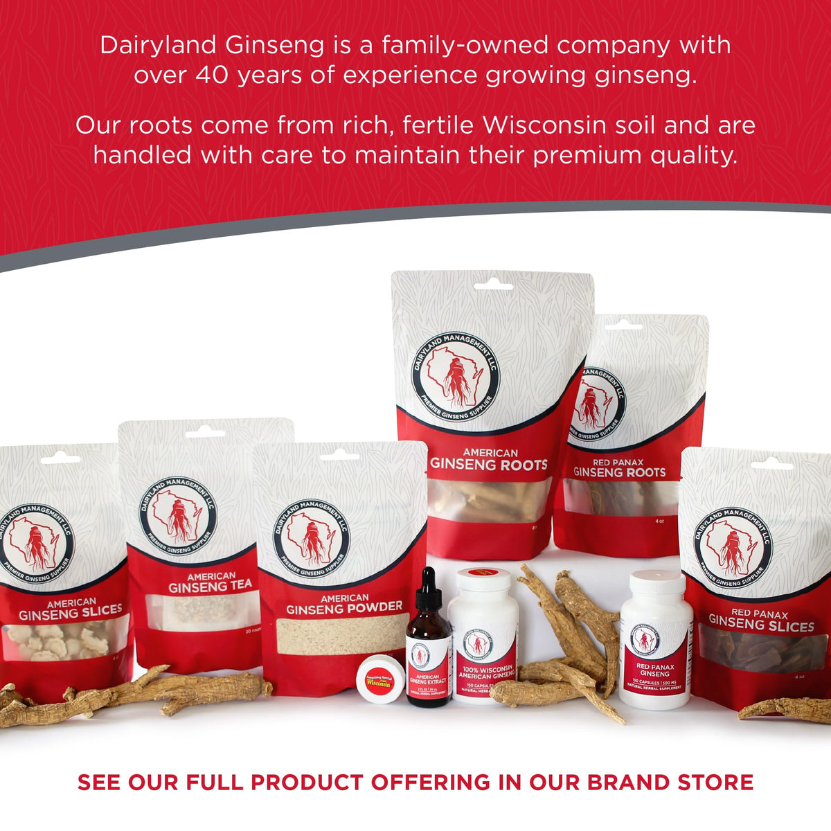 Dairyland American Ginseng 4 Ounce pack for immune support