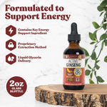 Rejuvica Health Active Ginseng bottle showing liquid supplement ingredients
