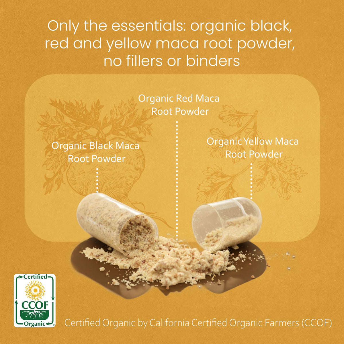 NaturaLife Labs organic maca root triple blend capsules