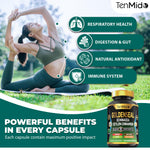 Close-up view of the premium herbal ingredients listed on the Tenmido digestive health support bottle.