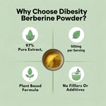 Gluten free and vegan pure berberine powder supplement showing fine texture for customizable dosing.