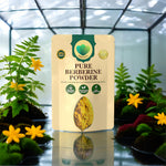 High potency barberry derived berberine powder packaging highlighting natural botanical ingredients.