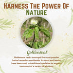 Naturfi Organic Goldenseal Root Powder finely milled herbal supplement texture close up