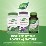 Authentic Nature's Way 95 Percent Polyphenols Antioxidant Support Capsules