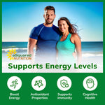 High quality image of ASquared Nutrition green tea supplement bottle