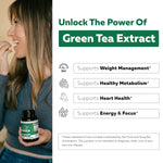 Side view of Triquetra Health green tea extract nutrition facts