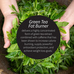 Applied Nutrition green tea extract liquid soft gels