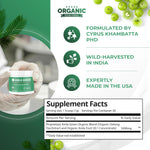 Amla Green 20x concentrated antioxidant powder scoop