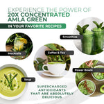 Amla Green tea supplement jar ingredients label