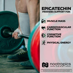High-purity Epicatechin tablets for muscle recovery