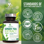 Nature's Nutrition high potency EGCG and polyphenol profile