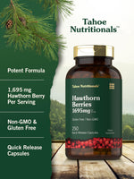 Gluten free and non-GMO Tahoe Nutritionals cardiovascular wellness supplement bottle angled view