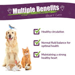 Amber NaturalZ liquid cardiovascular care for dogs and cats bottle
