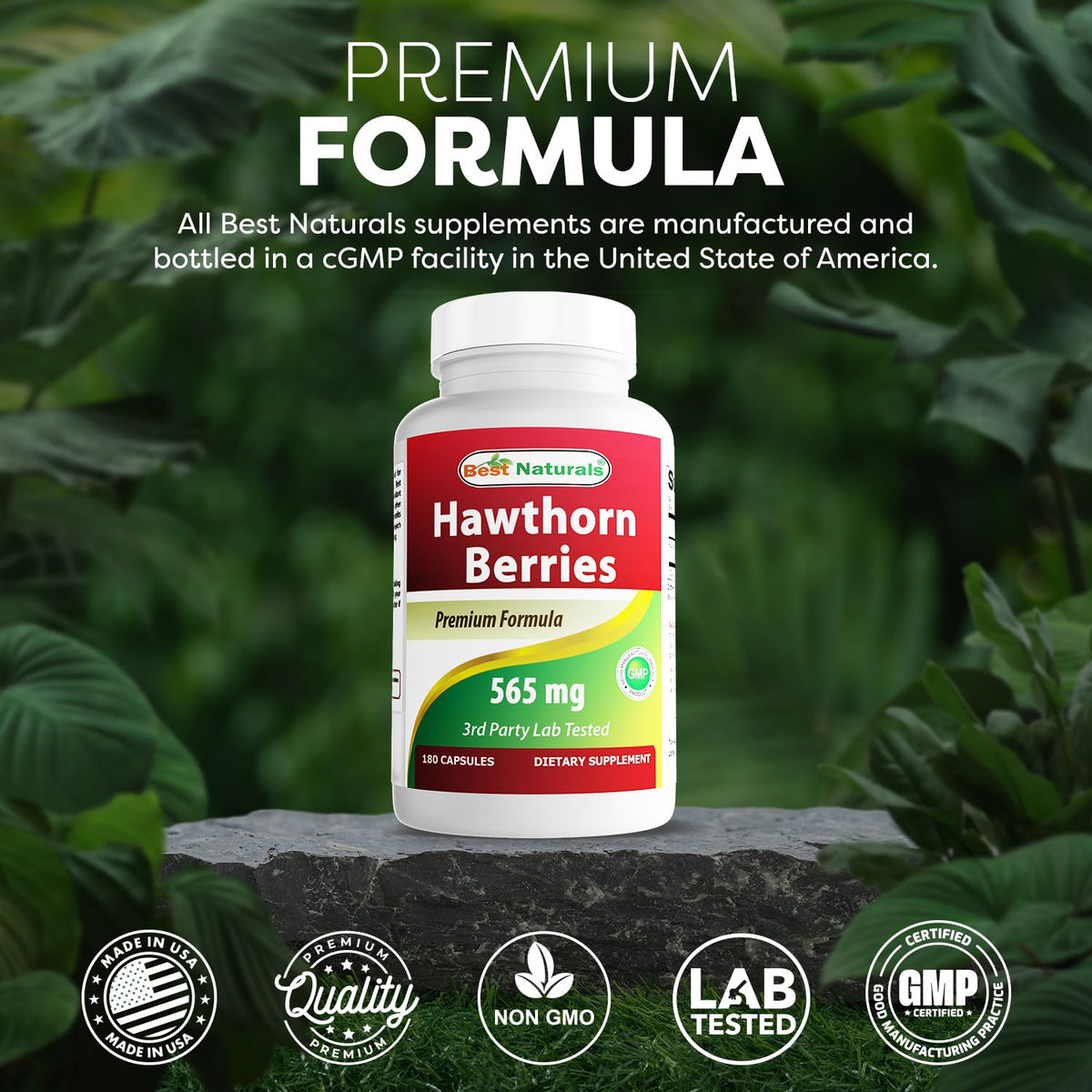 Close-up of the supplement label highlighting ingredients and manufacturing quality certification.