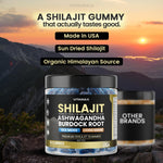 Premium shilajit and lion's mane mushroom gummies for stress management side angle