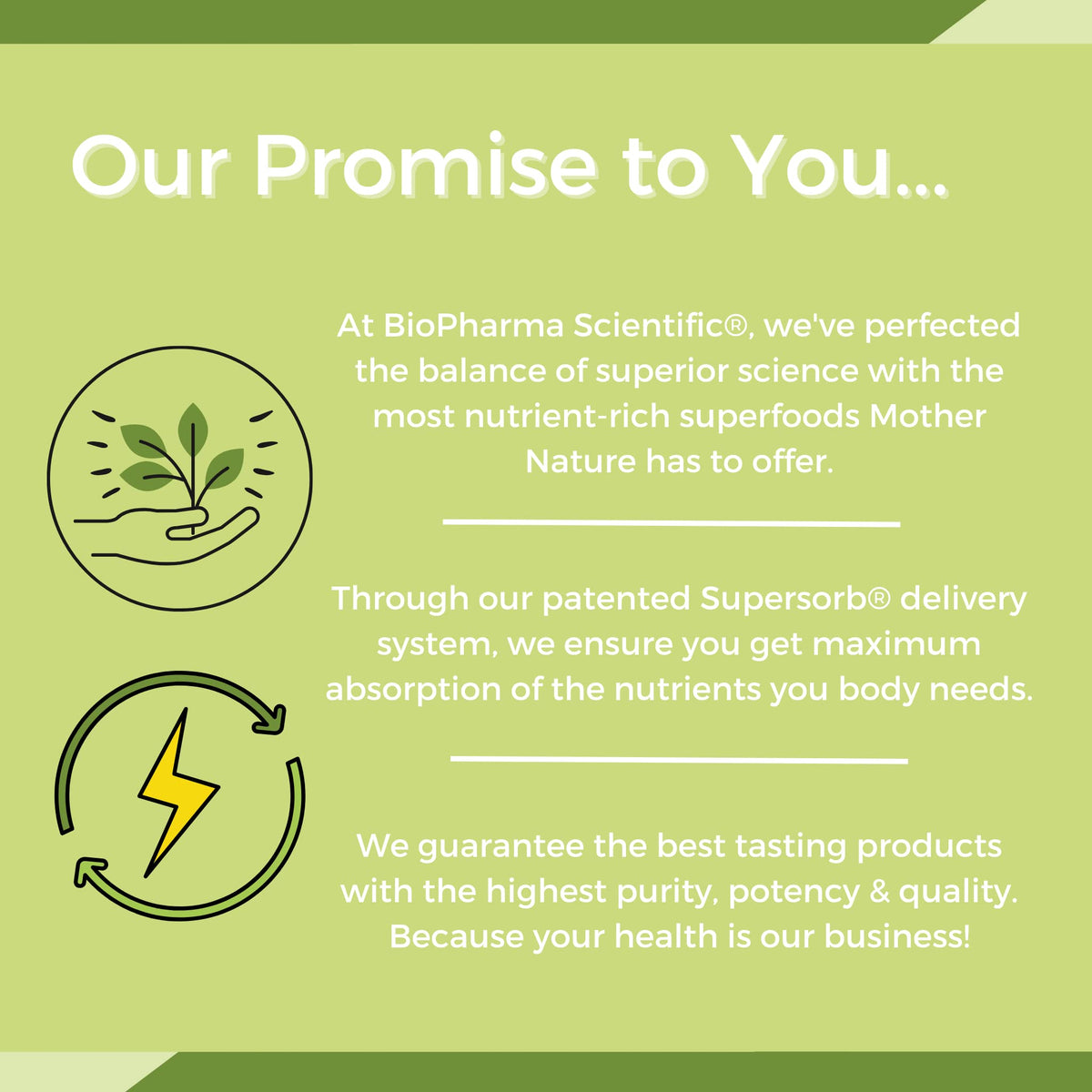 Close up of the green apple flavor label on the BioPharma Scientific NanoGreens superfood powder packaging