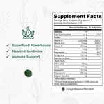 Probase Sports Nutrition four month supply bottle showing plant protein and chlorophyll benefits.