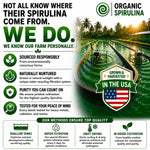 Clean water sourced BMAA free spirulina formula bottle back