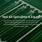 Authentic imported American packaging of the sixteen ounce spirulina dietary supplement.