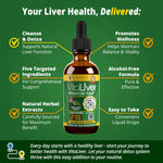 Rejuvica Health VitaLiver two fluid ounces bottle showing the dropper applicator.