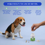 Coco and Luna canine liver and kidney detox supplement back label showing clear dosage instructions.