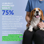 Bacon and liver flavored chewable dog supplement tablets by Coco and Luna for hepatic wellness.