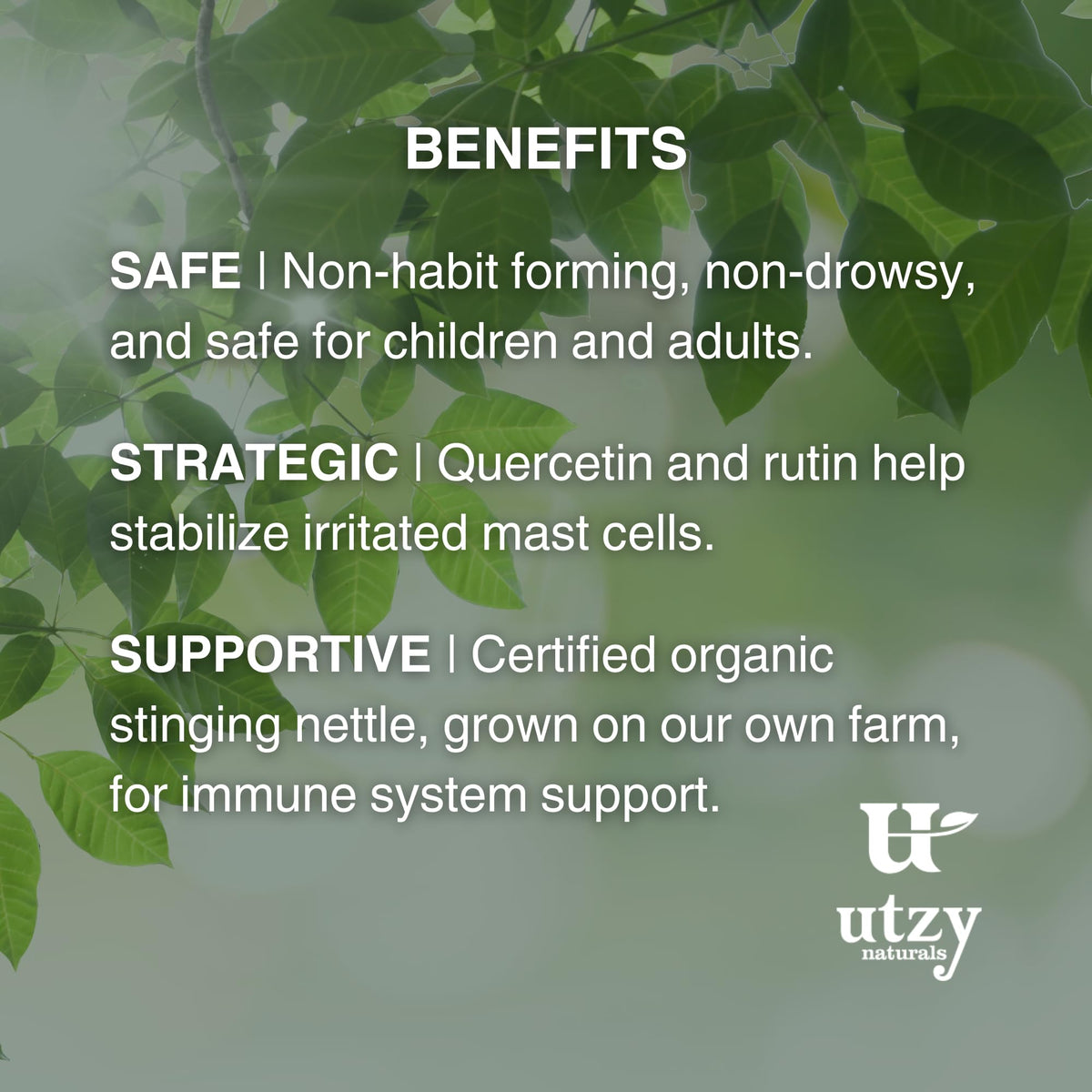 Top view of Utzy Naturals Allurtica natural sinus support bottle