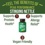 Peak Performance stinging nettle capsules supplement facts and ingredient label details