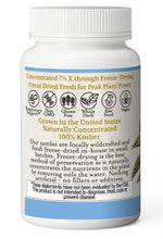 Eclectic Institute raw freeze-dried nettle leaf capsule bottle