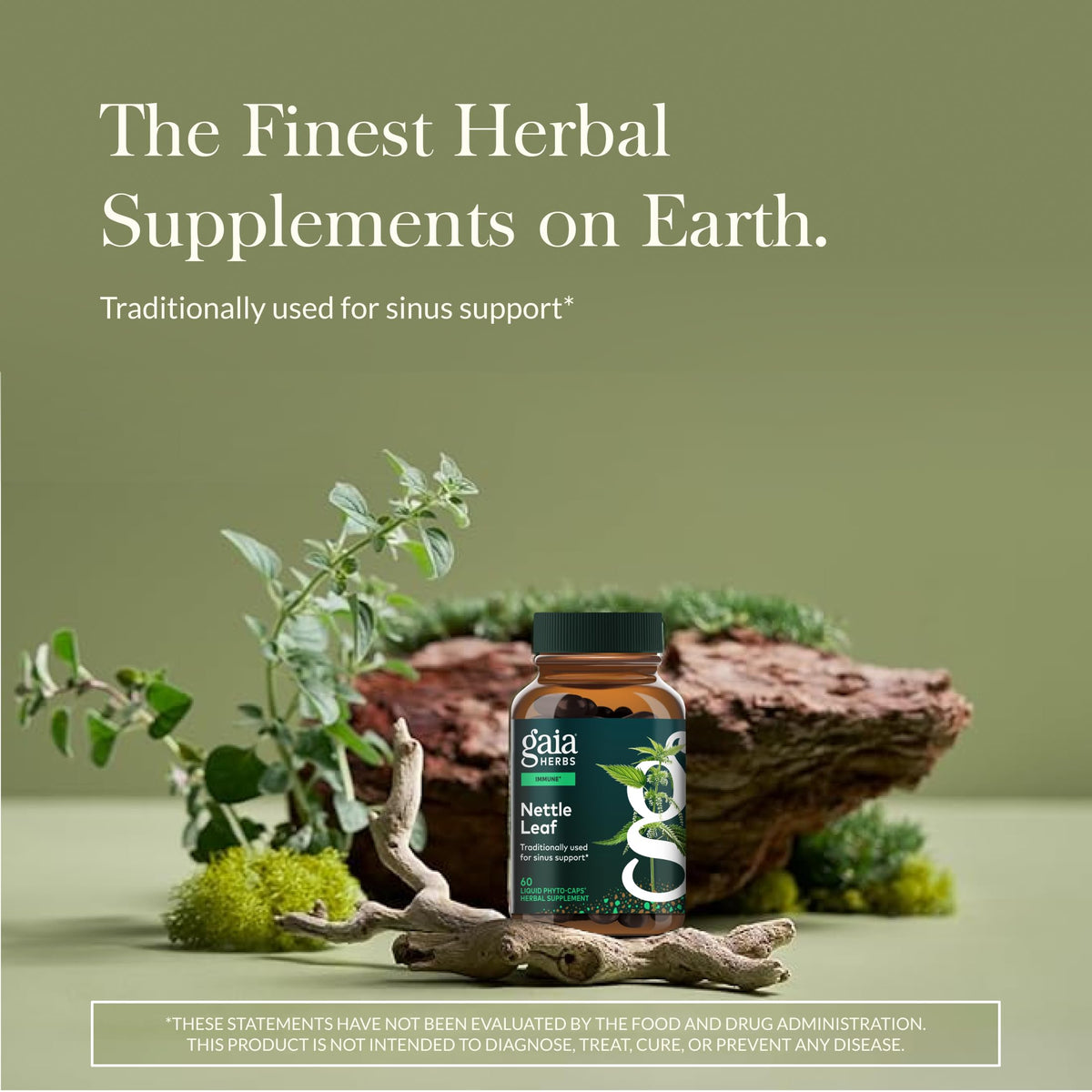 Gaia Herbs Nettle Leaf supplement liquid phyto-capsules