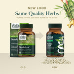 Authentic Gaia Herbs Nettle Leaf supplement for immune health