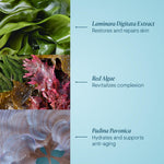 ELEMIS anti-wrinkle nightly facial moisturizer showing active marine ingredients details on label