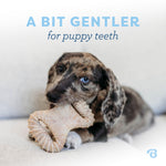Close up of Benebone puppy dental chew texture