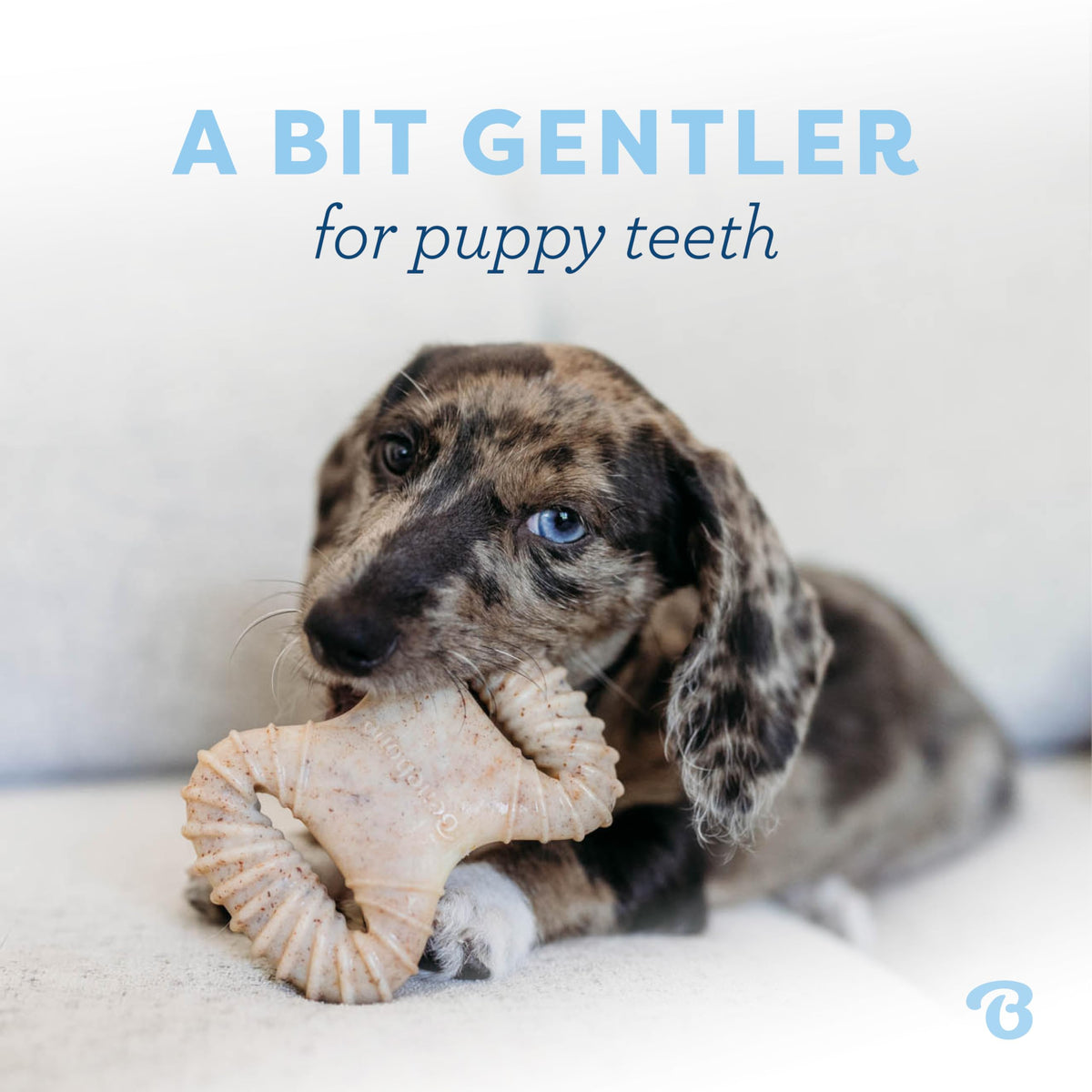 Close up of Benebone puppy dental chew texture