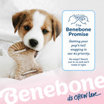 Benebone puppy wishbone toy for dogs under 30 pounds