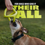 Benebone lime green triangular rubber toy for dogs
