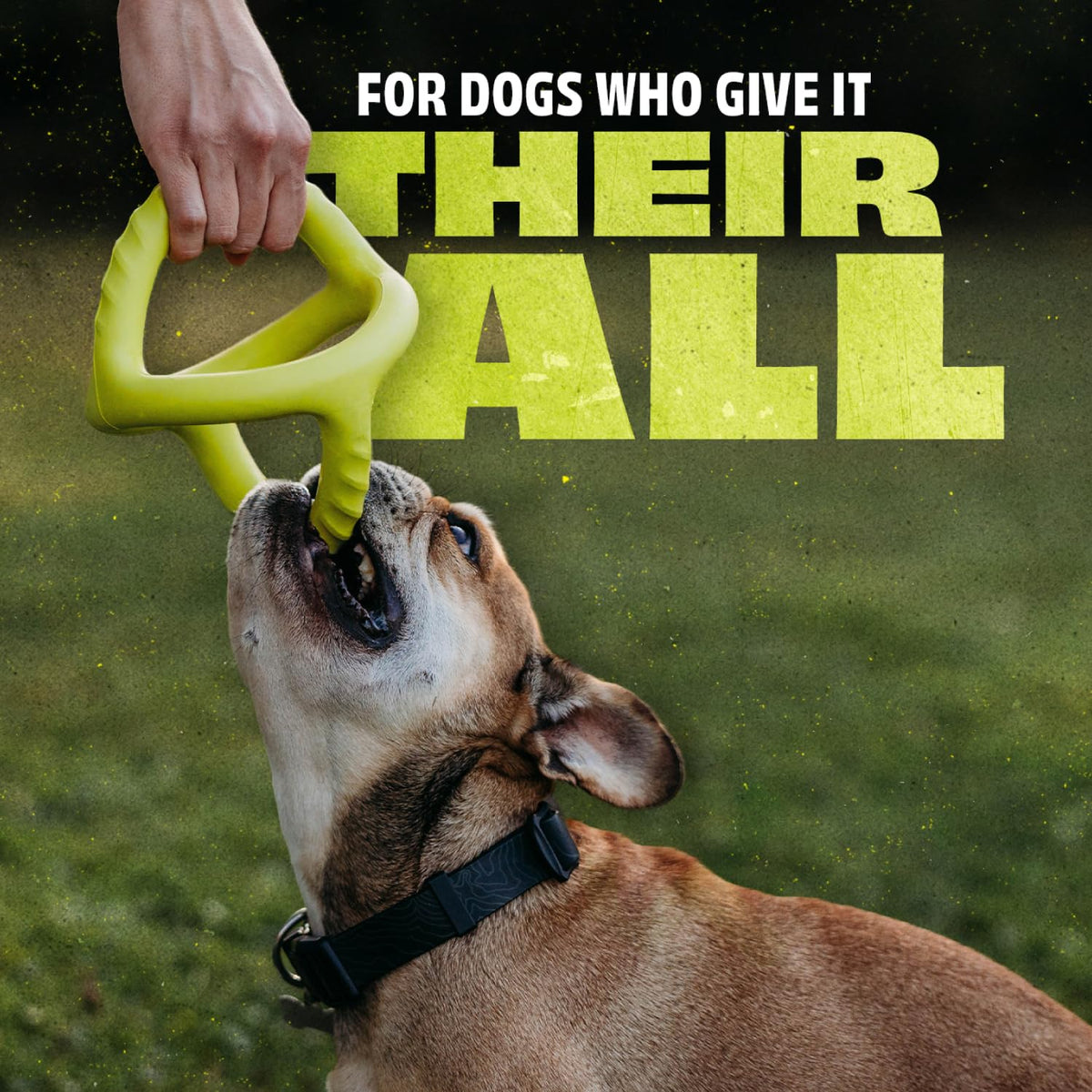 Benebone lime green triangular rubber toy for dogs